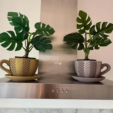 Maison d'hôtes Cristina's House Ferrare